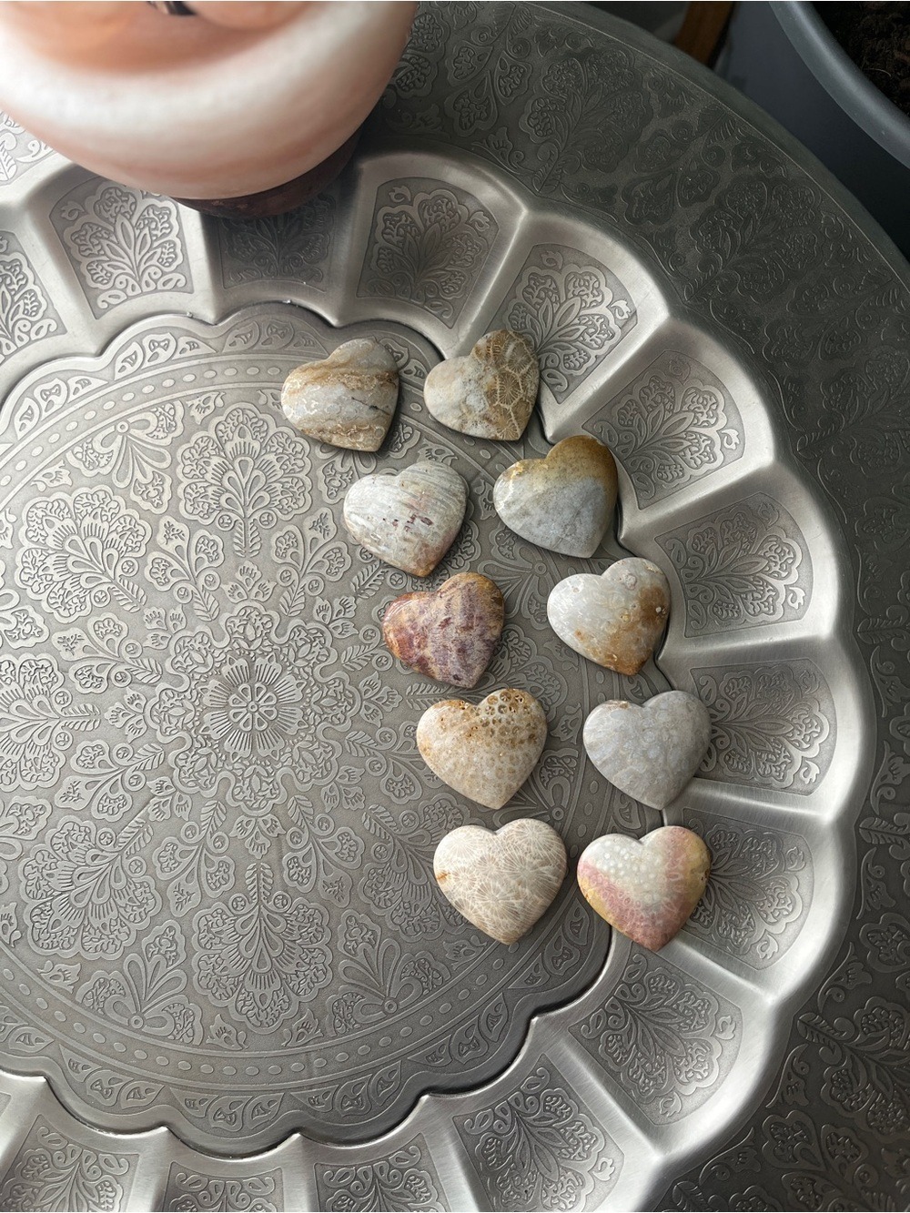 Fossil Coral Heart